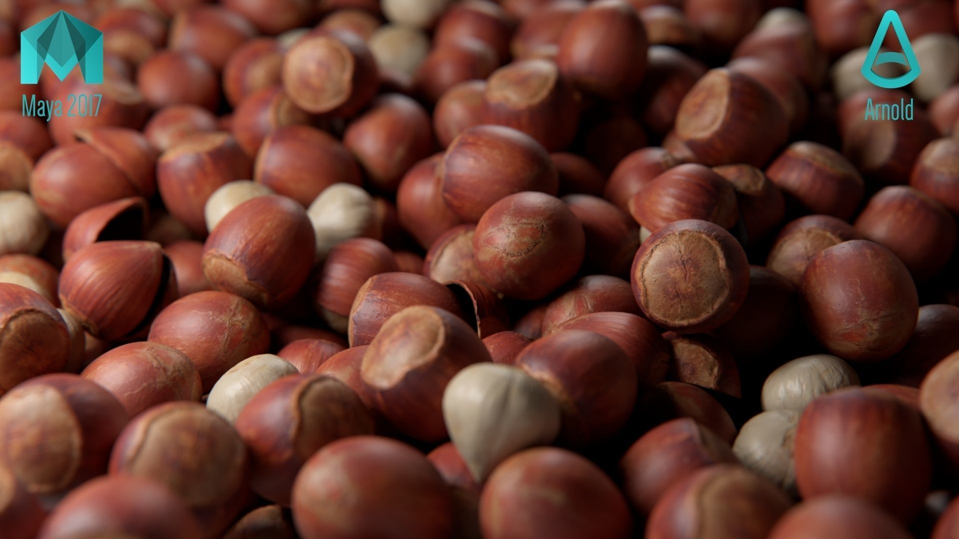 Hazelnut garlic bulb 3D model_2