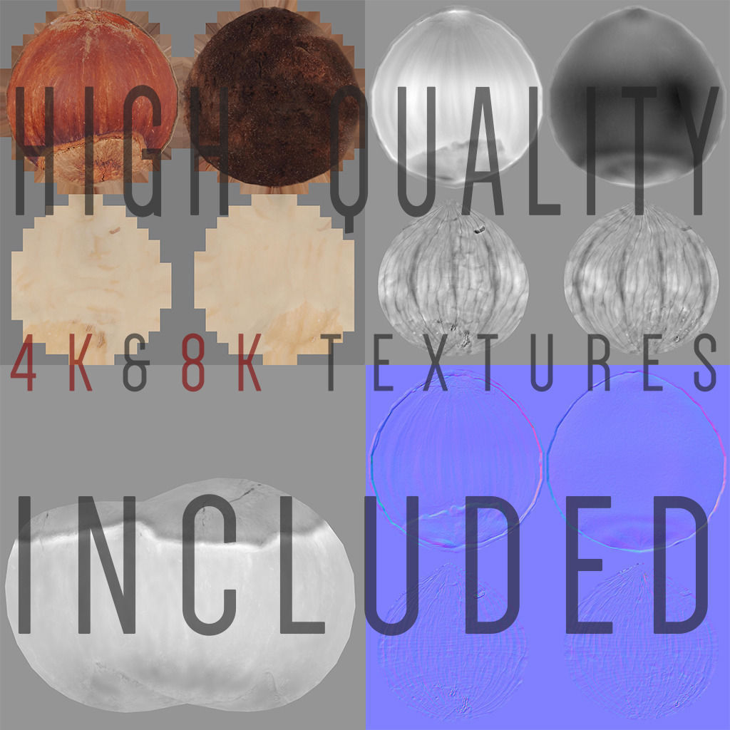 Hazelnut garlic bulb 3D model_11