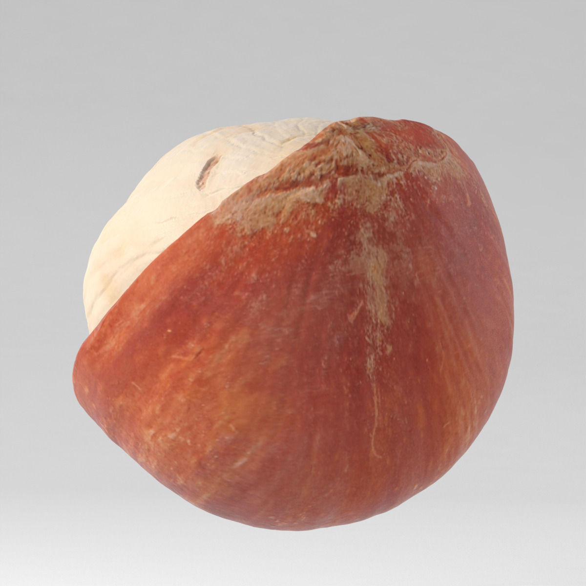 Hazelnut garlic bulb 3D model_3