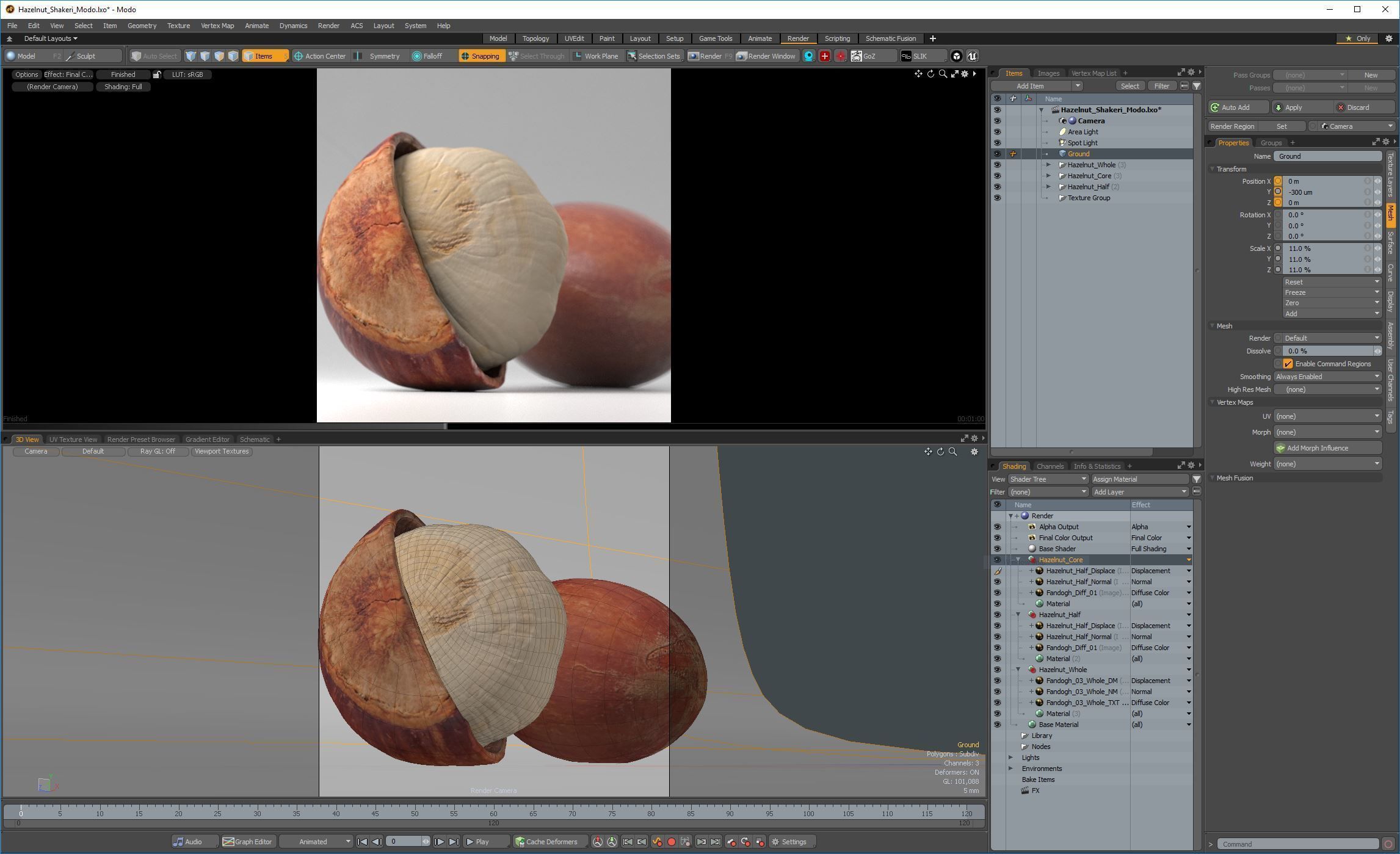 Hazelnut garlic bulb 3D model_13