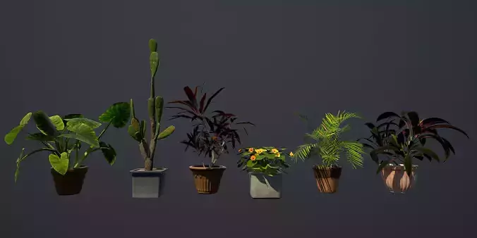 Plants plant with flowers in concrete pot