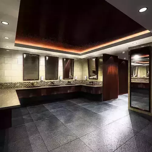 Bathroom - Washroom MR