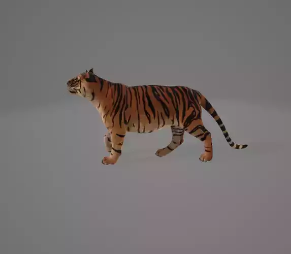 3d tiger