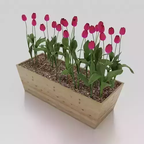 Flowers plants box - Low-poly vegetation model