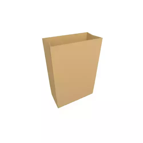Paper Bag v1 001