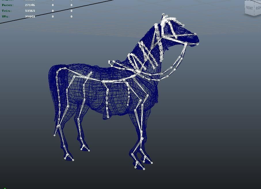 White horse 3D model_8