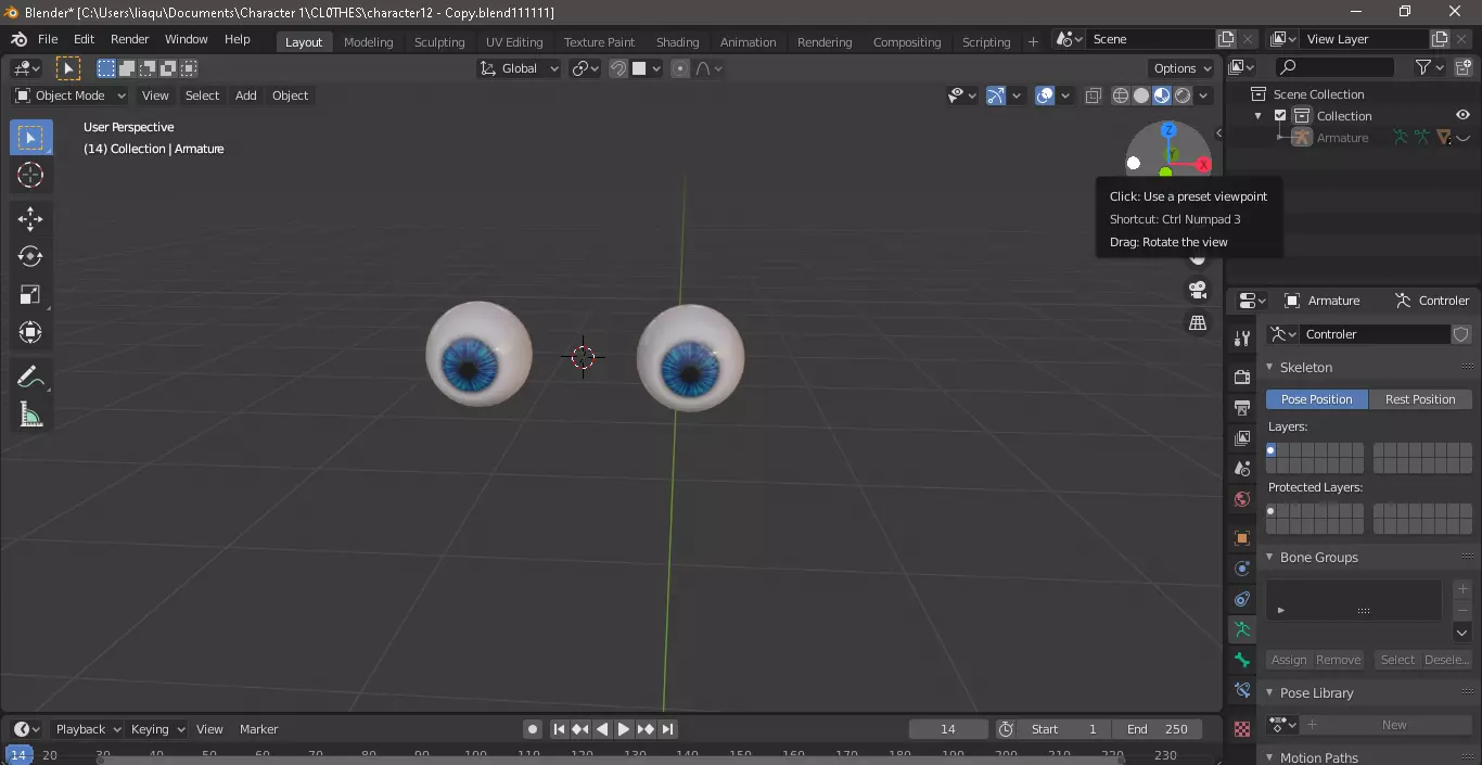 Eyes Rigged Model Low-poly 3D model_0