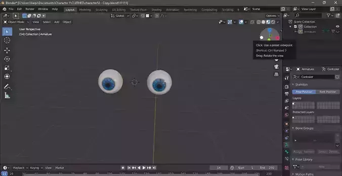 Eyes Rigged Model