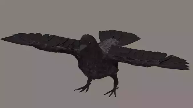 Raven High-Poly model crow with wings spread
