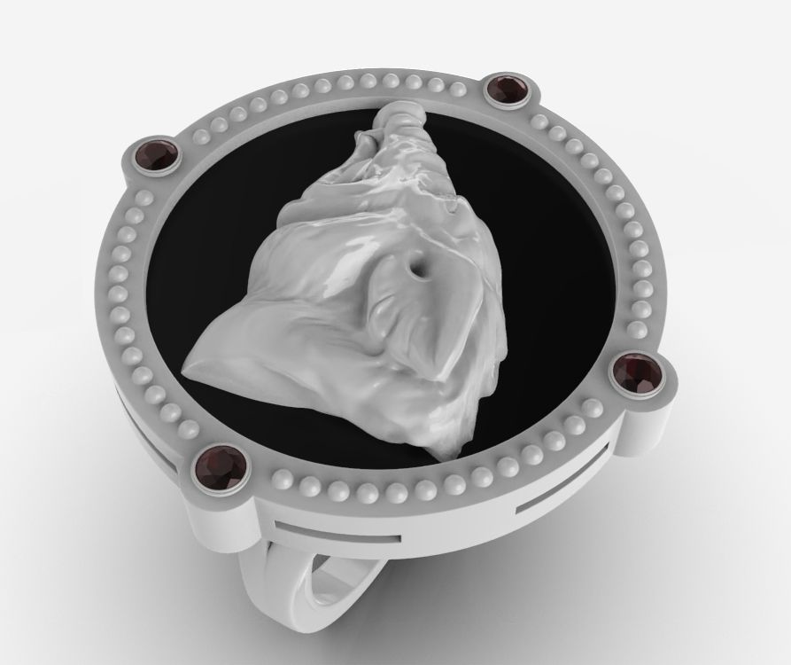 Chinese Zodiac Pig 3D print model_6