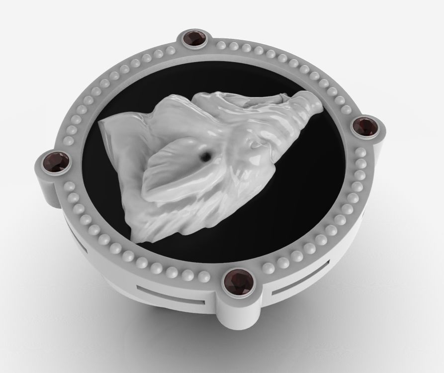 Chinese Zodiac Pig 3D print model_29