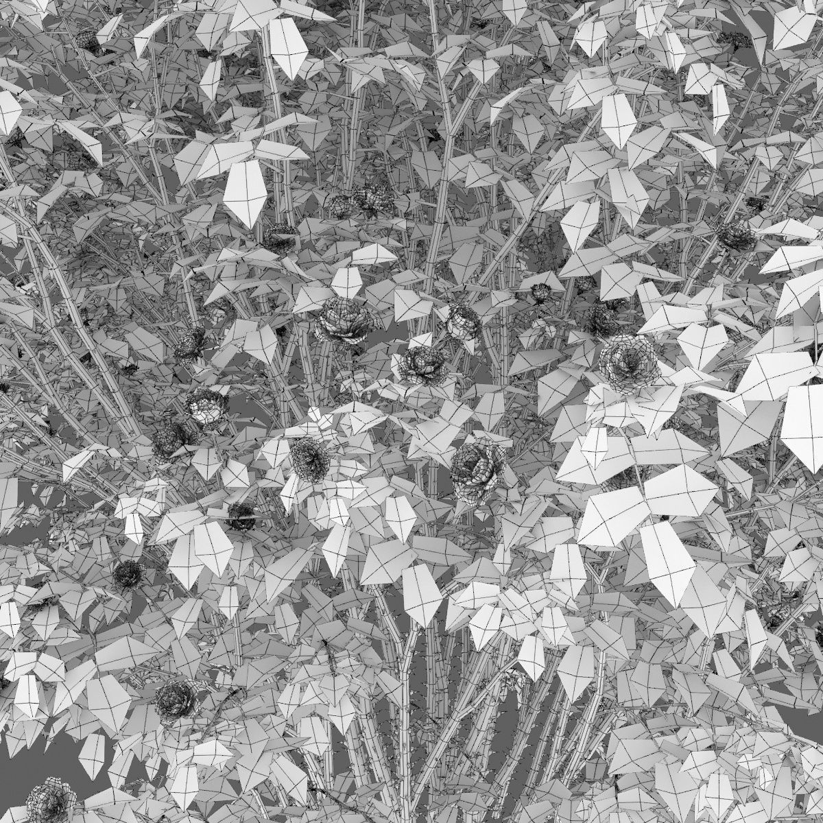 Rose bush 03 3D model_5