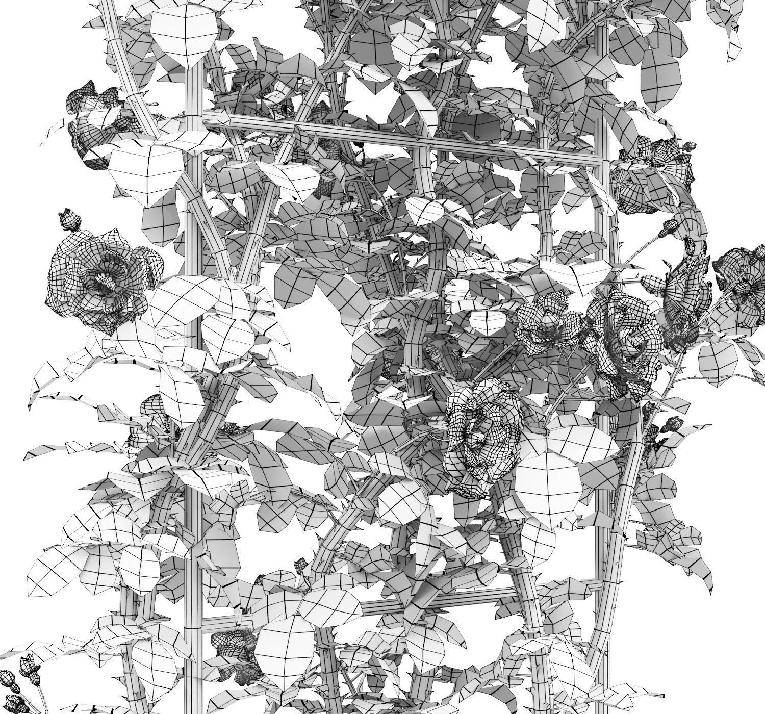 Rose climbing 01 3D model_5