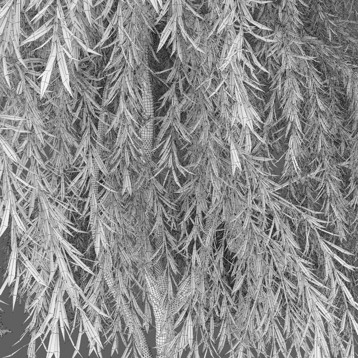 Salix 01 H260 cm 3D model_3