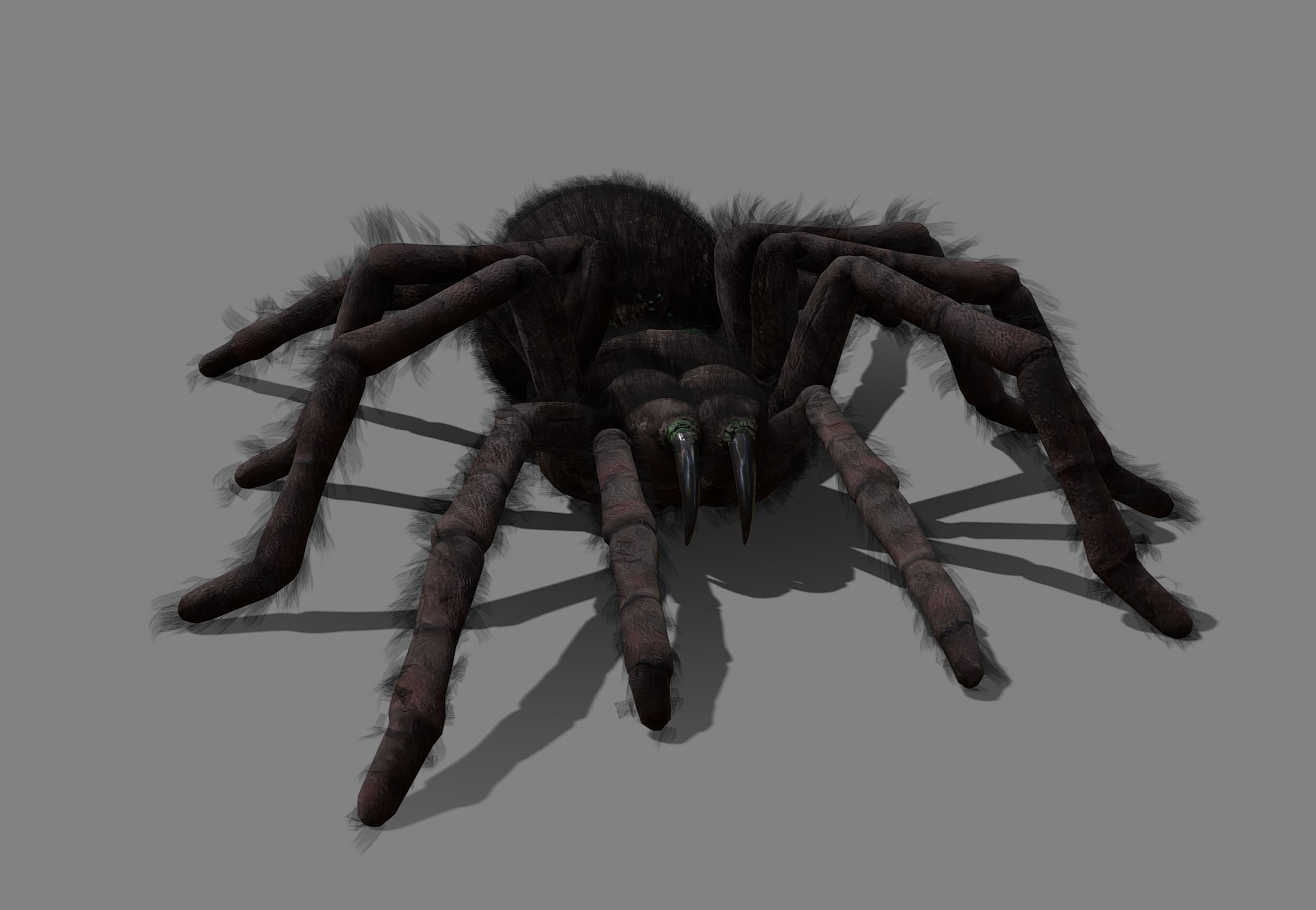 Spider - Tarantula with animations Low-poly 3D model_10