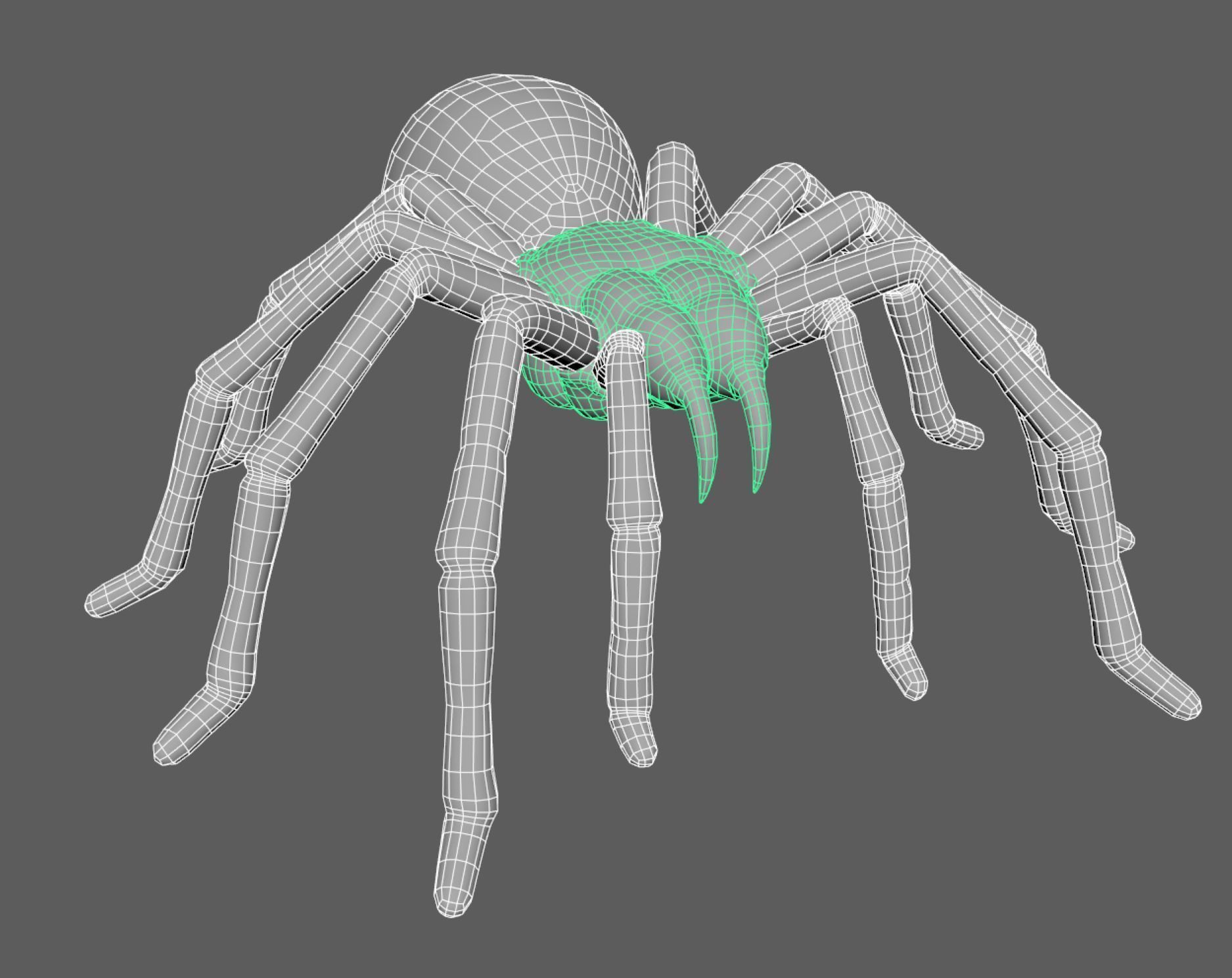 Spider - Tarantula with animations Low-poly 3D model_14