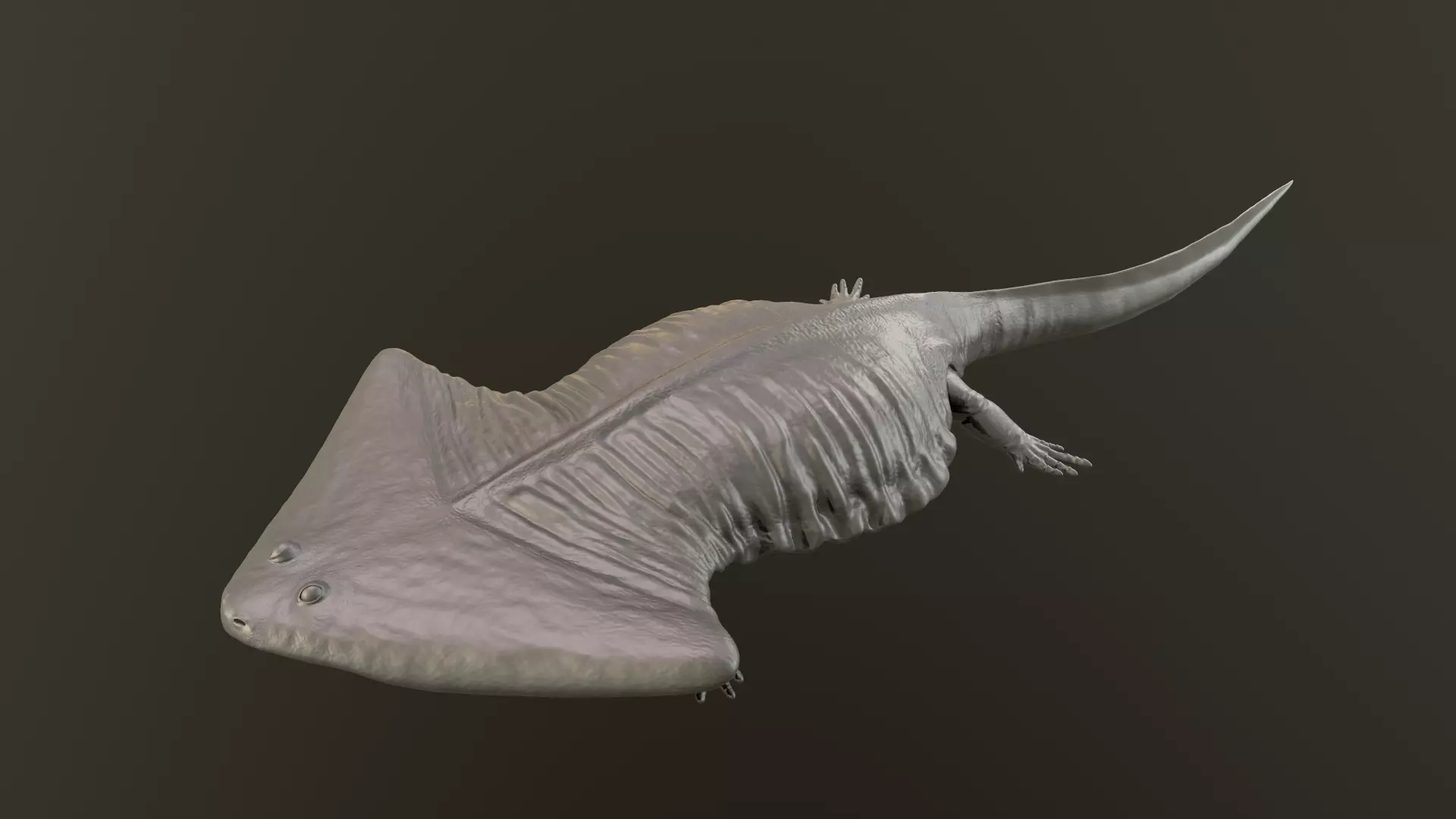 Diplocaulus magnicornis 3D print model_0