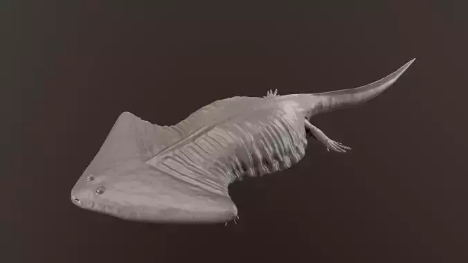 Diplocaulus magnicornis 3D print model