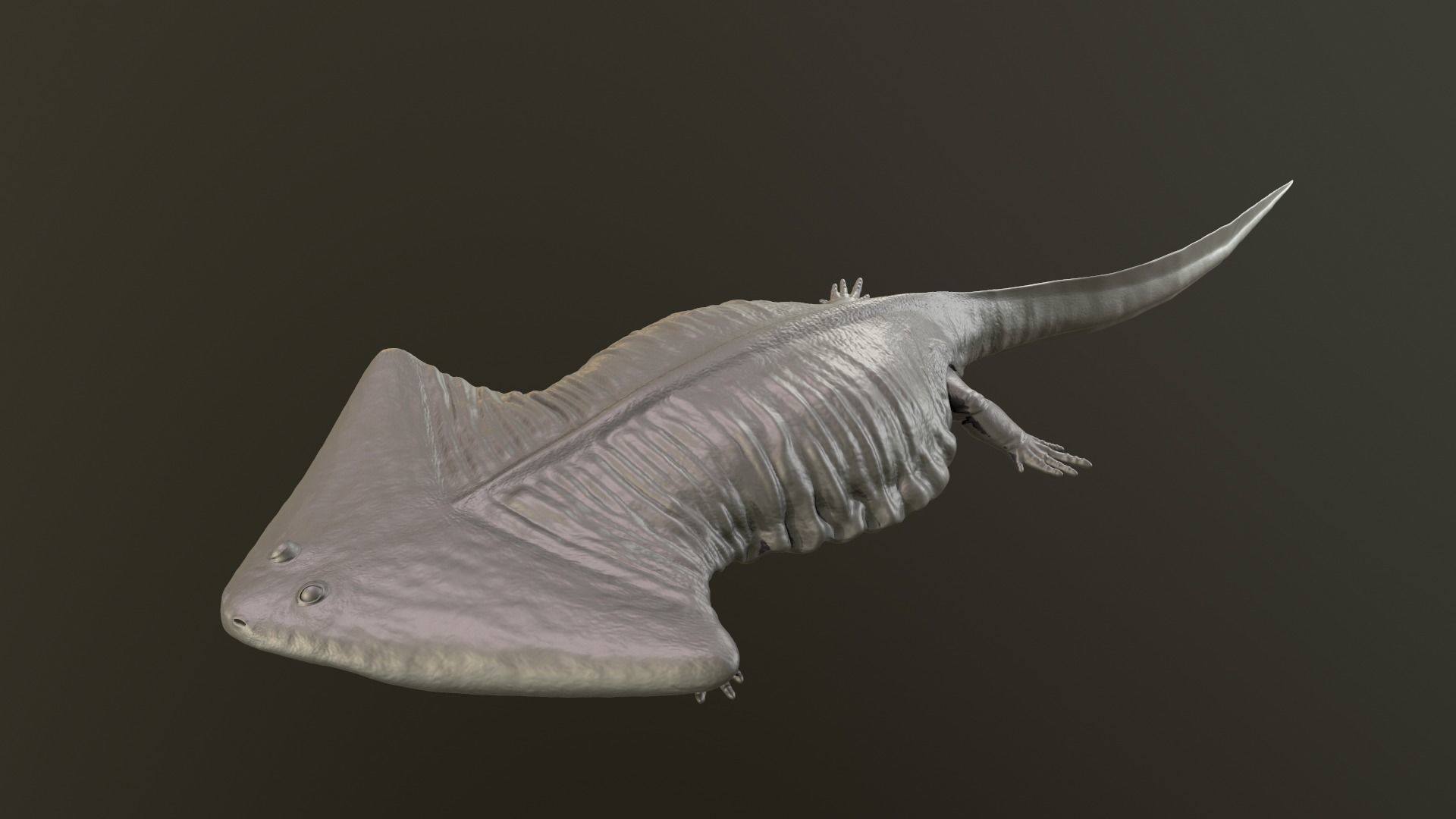 Diplocaulus magnicornis 3D print model_3