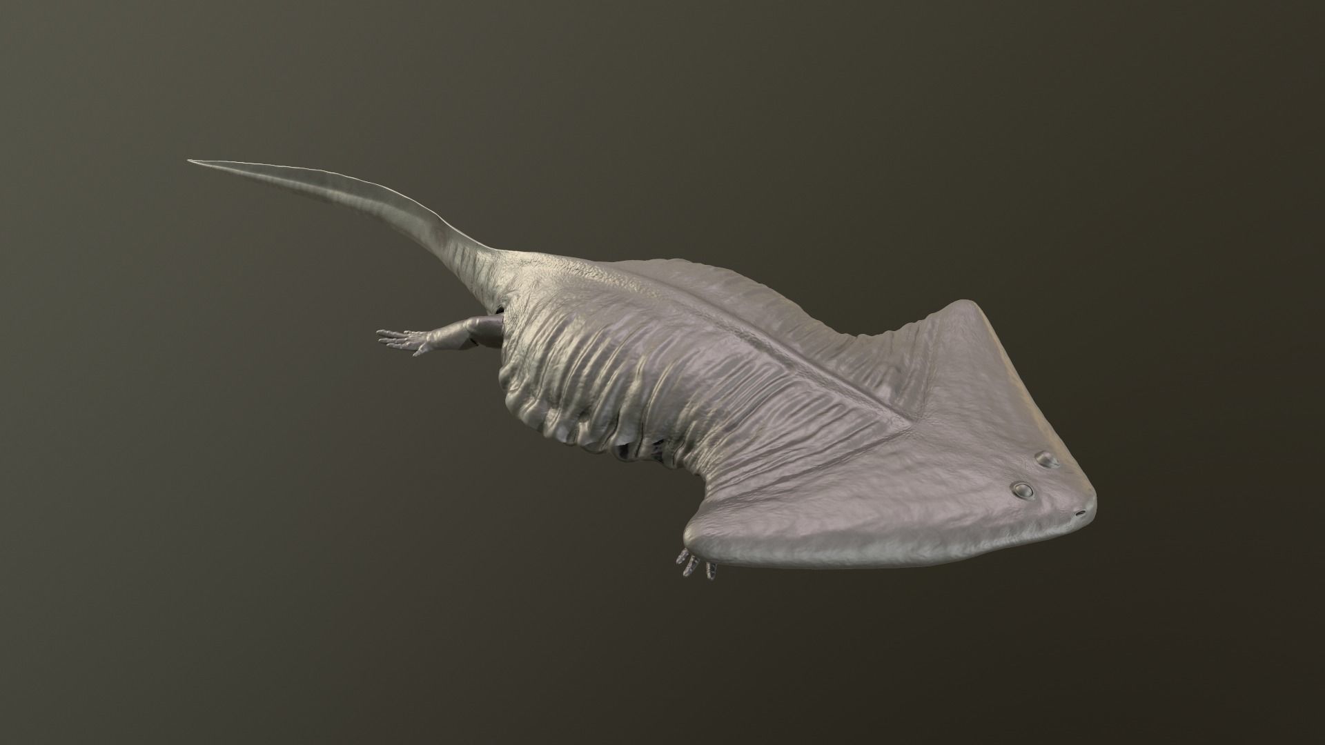 Diplocaulus magnicornis 3D print model_5