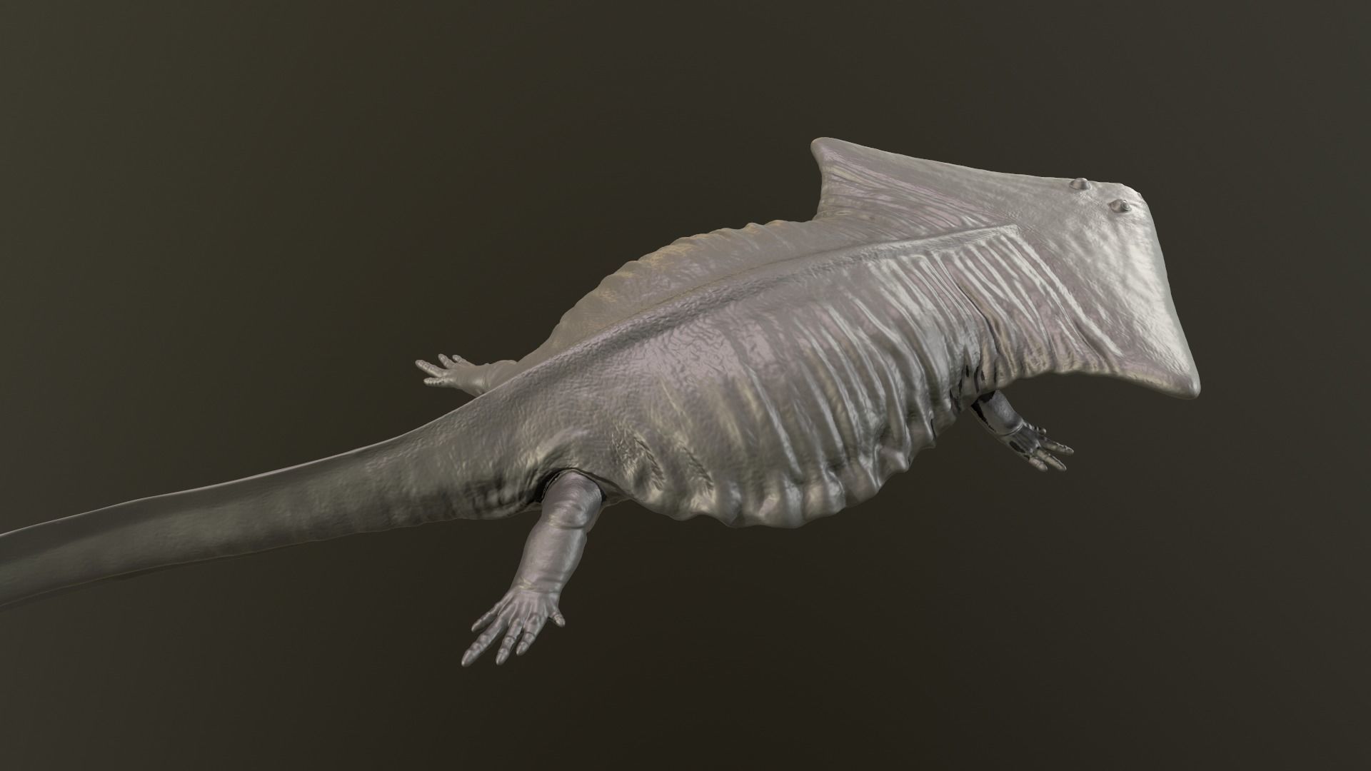 Diplocaulus magnicornis 3D print model_6