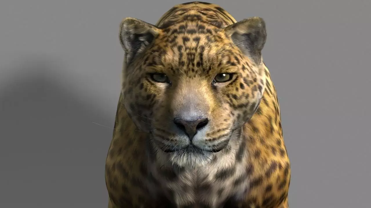 Leopard A jaguar - jaguar 3D model_0