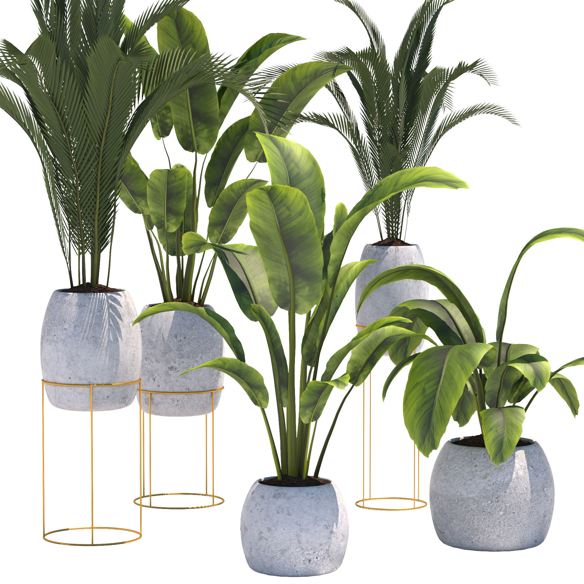 Plants collection 2 group of potted 3D model_2