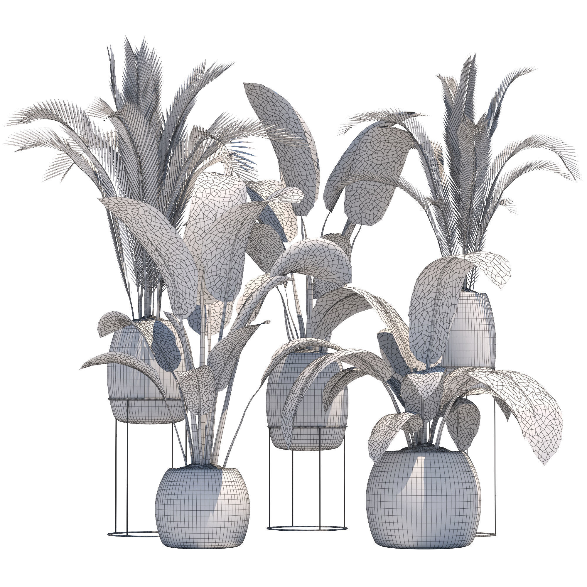 Plants collection 2 group of potted 3D model_4