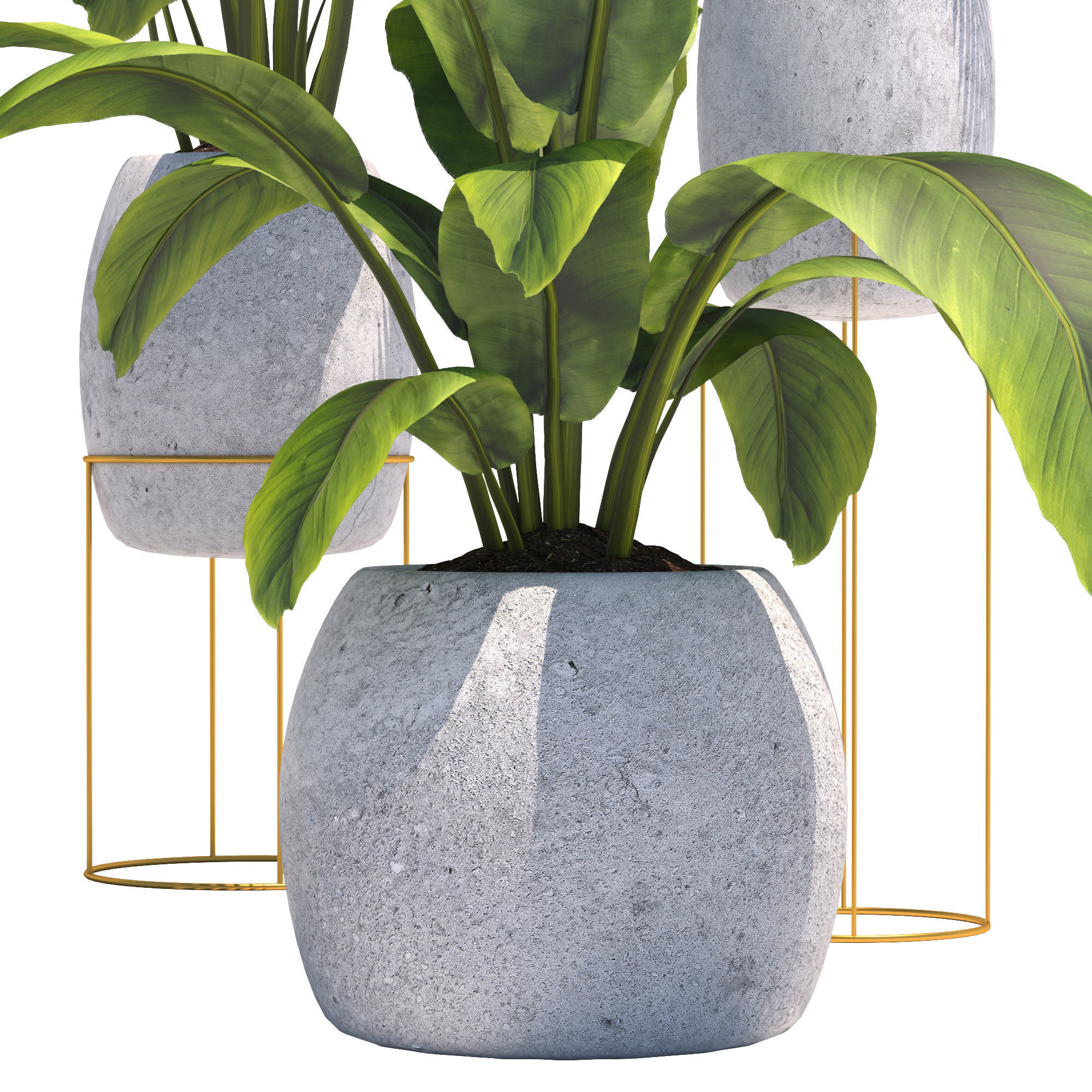 Plants collection 2 group of potted 3D model_3