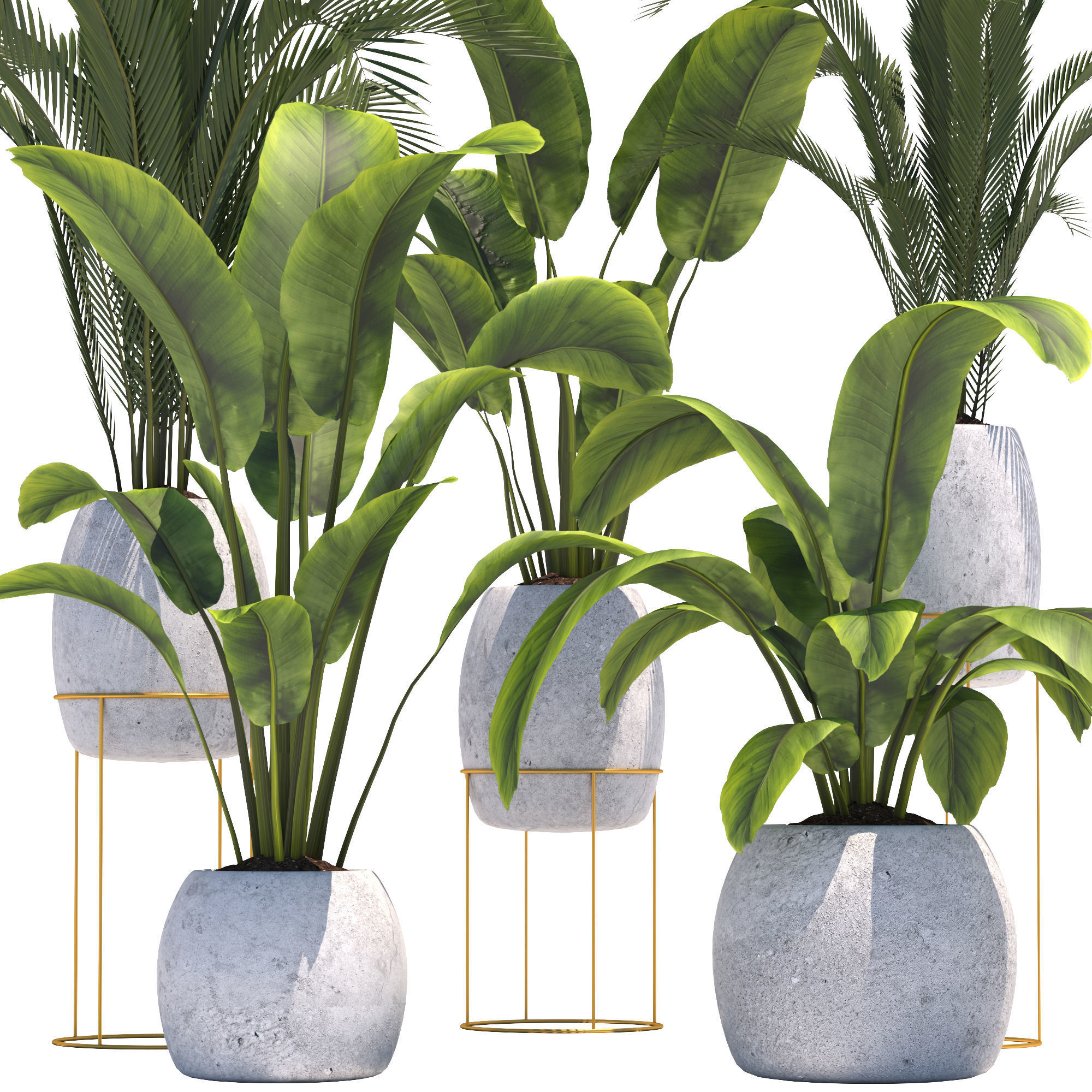 Plants collection 2 group of potted 3D model_1