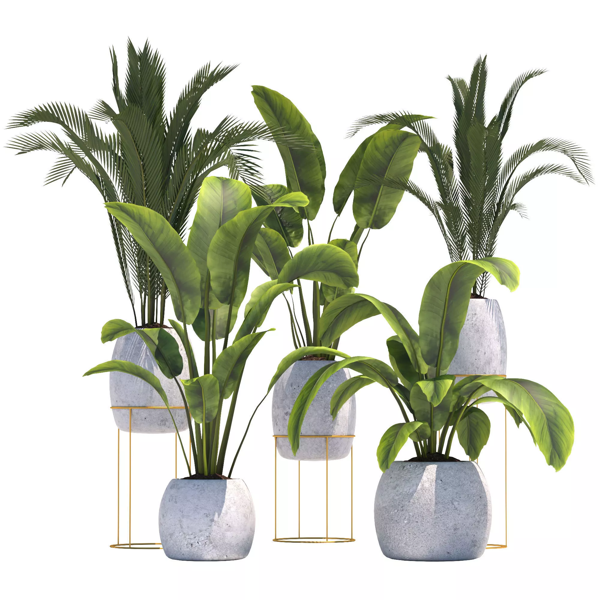 Plants collection 2 group of potted 3D model_0