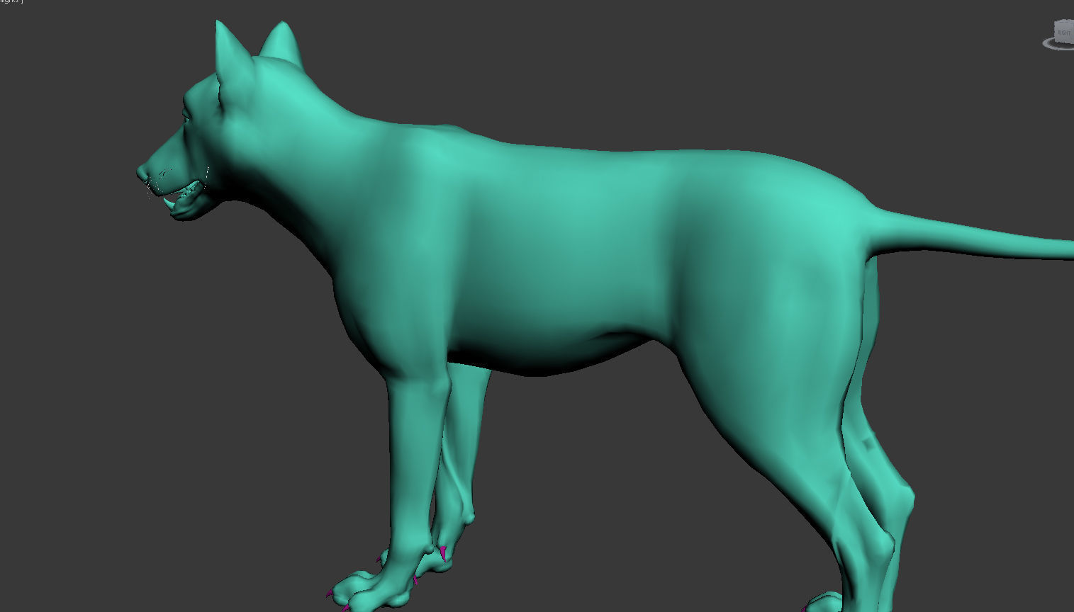 Wolf High Detailed 3D model_1