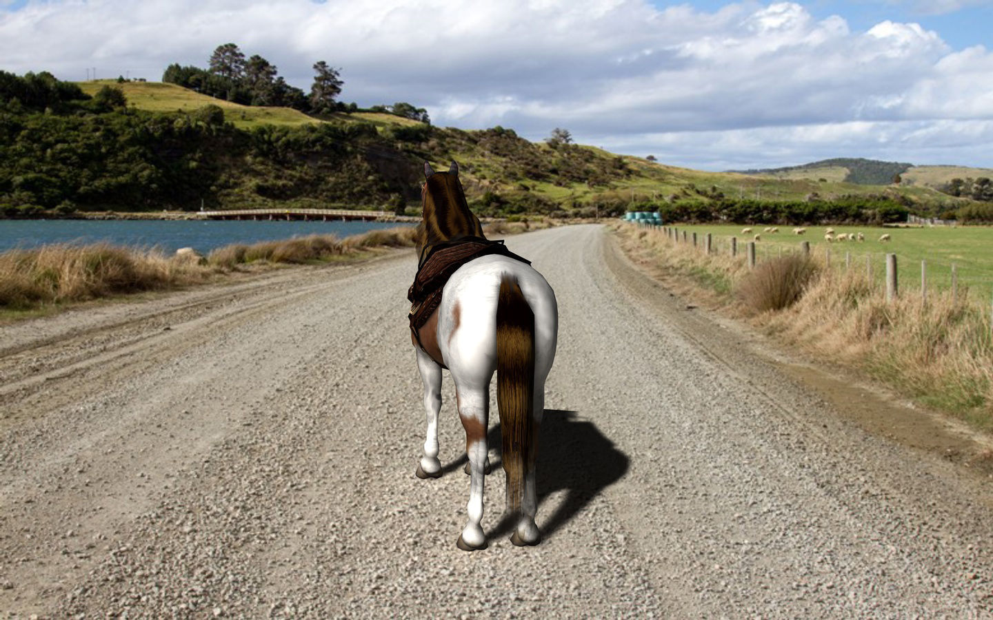 Pinto Horse with saddle and bags Low-poly 3D model_6