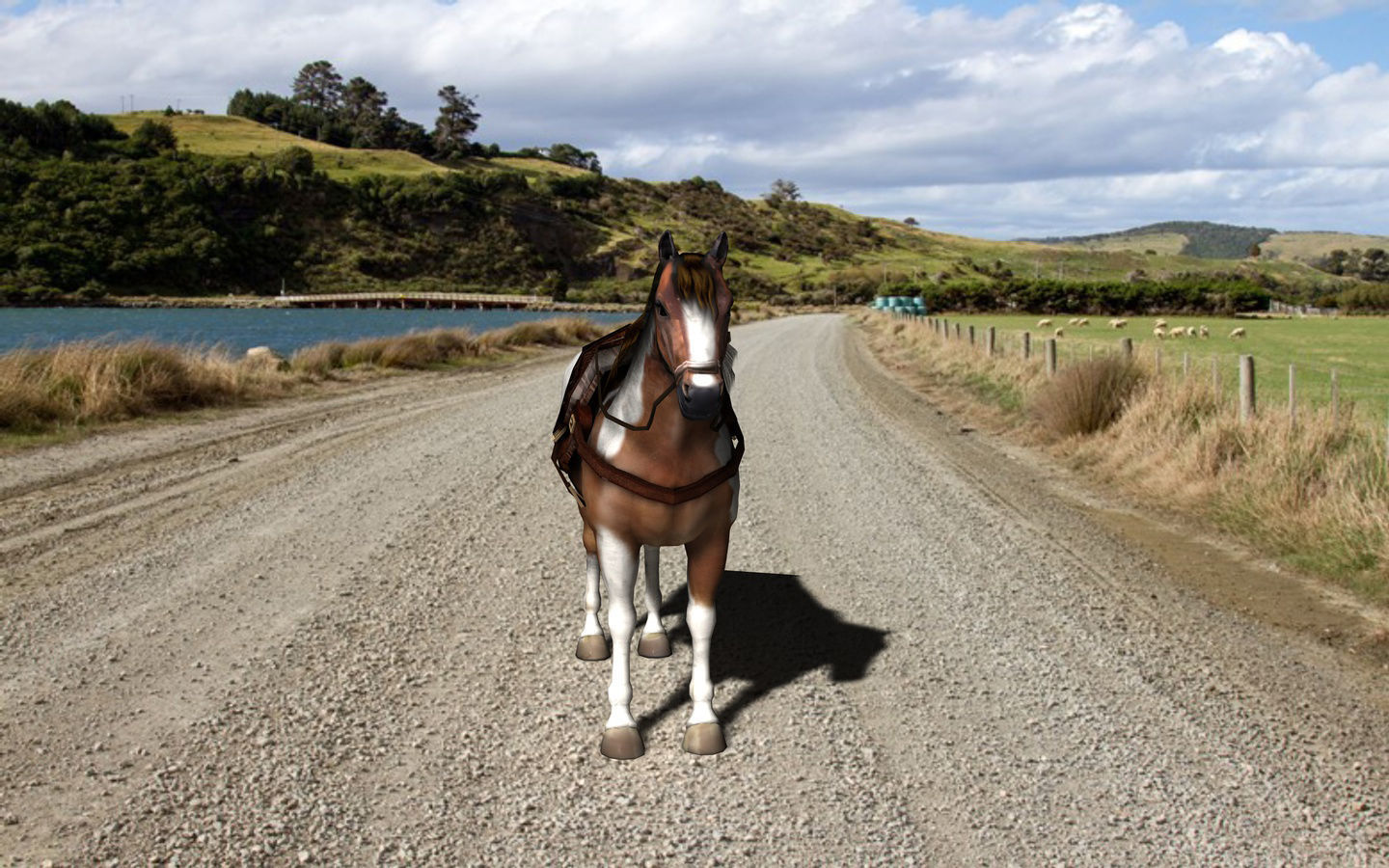 Pinto Horse with saddle and bags Low-poly 3D model_4