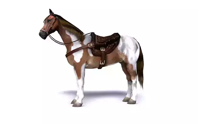Pinto Horse with saddle and bags