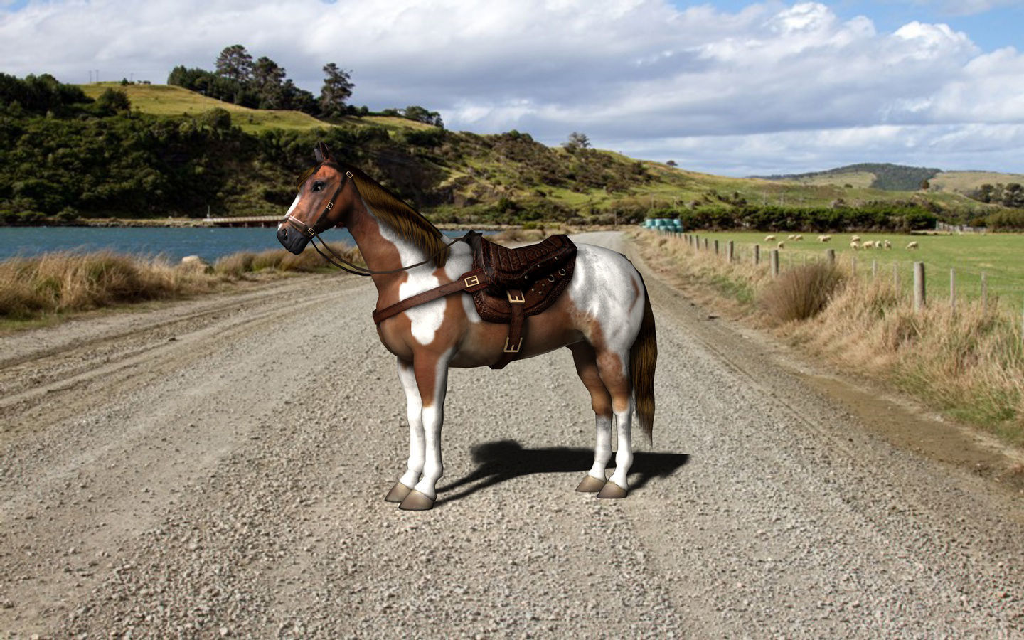 Pinto Horse with saddle and bags Low-poly 3D model_1