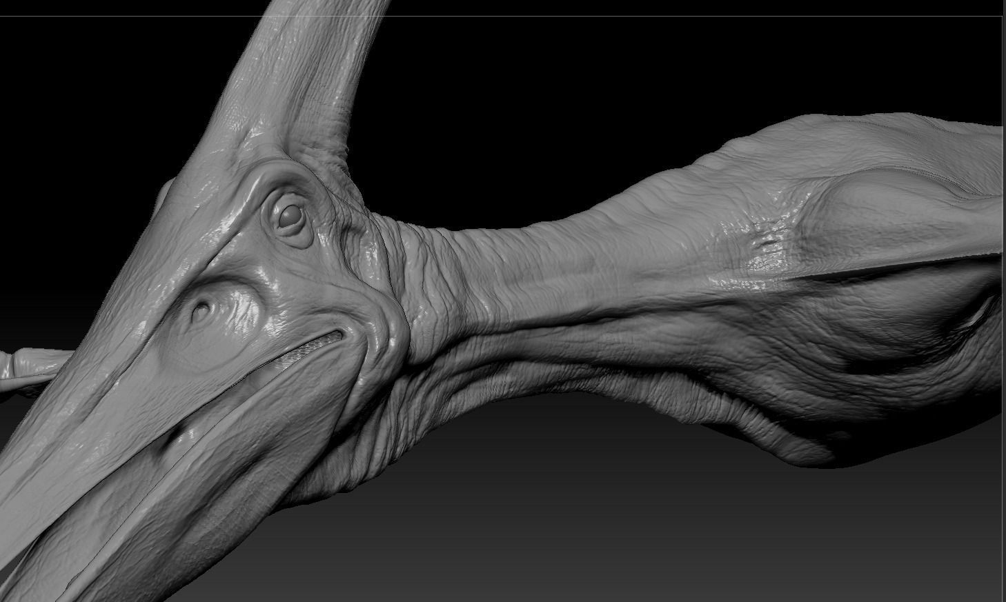 Pterodon dinosaur flying in sky 3D model_11