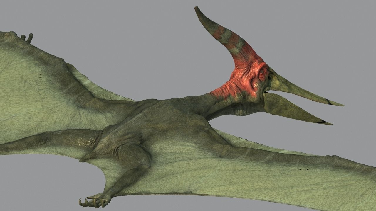 Pterodon dinosaur flying in sky 3D model_6