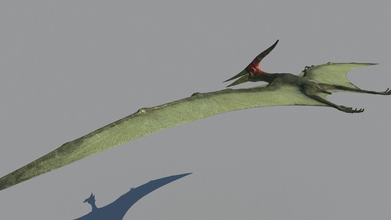 Pterodon dinosaur flying in sky 3D model_4