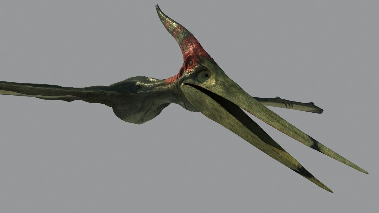 Pterodon dinosaur flying in sky 3D model_7