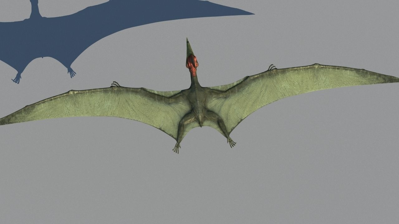 Pterodon dinosaur flying in sky 3D model_5