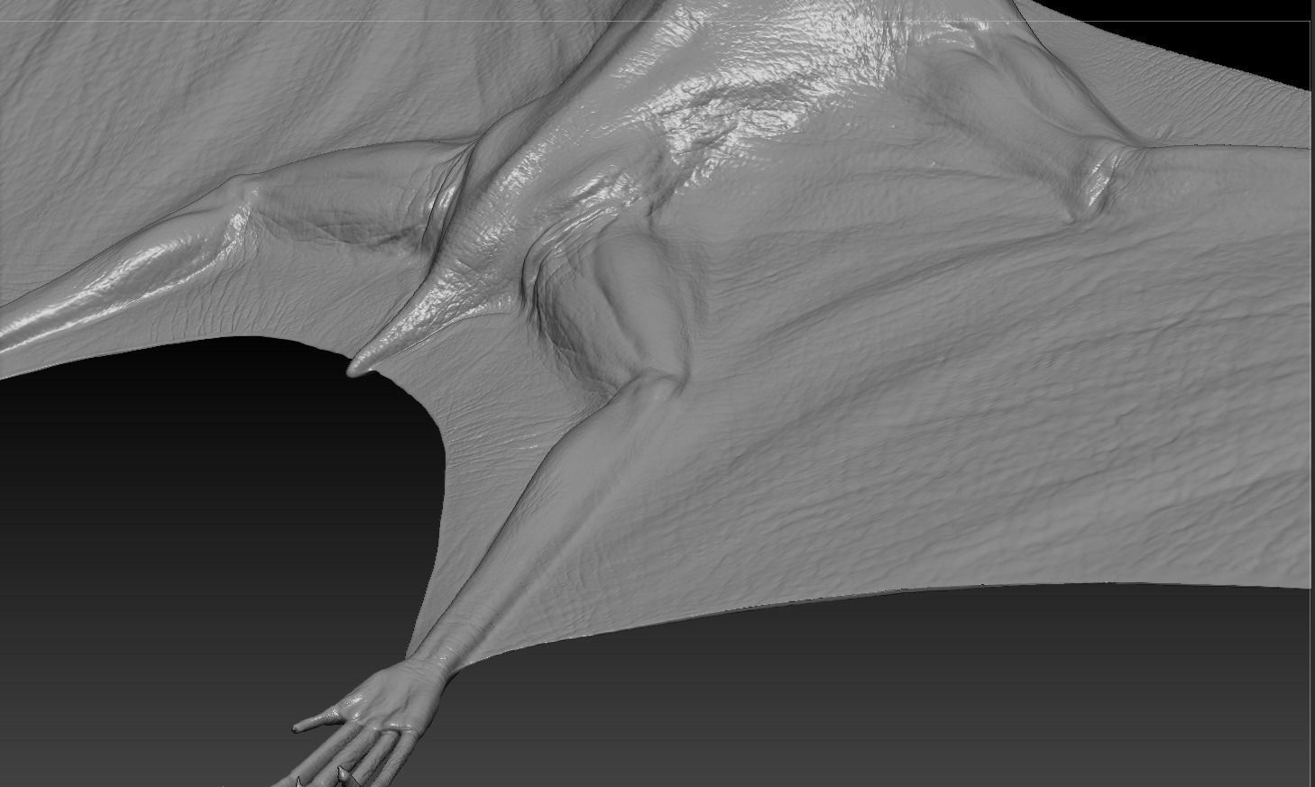 Pterodon dinosaur flying in sky 3D model_13