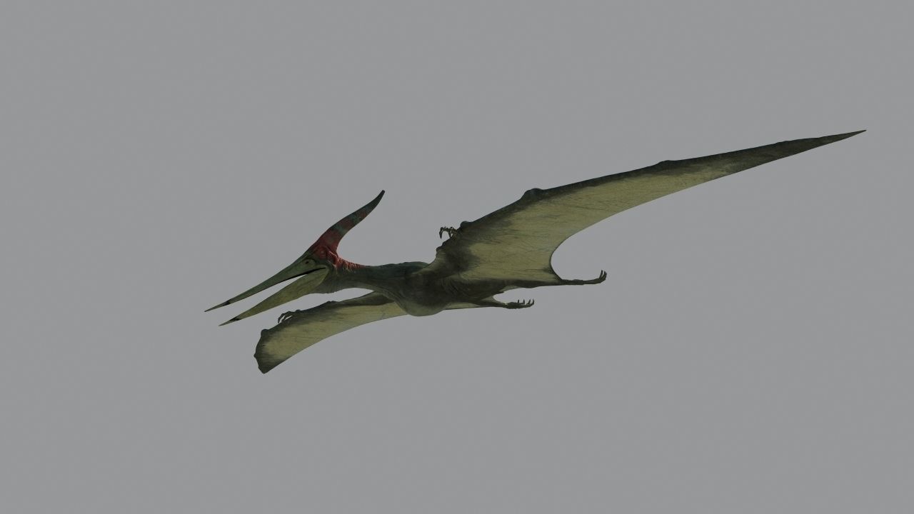 Pterodon dinosaur flying in sky 3D model_2