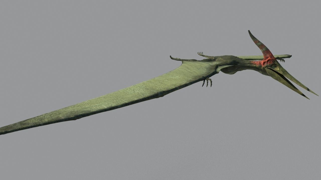 Pterodon dinosaur flying in sky 3D model_1