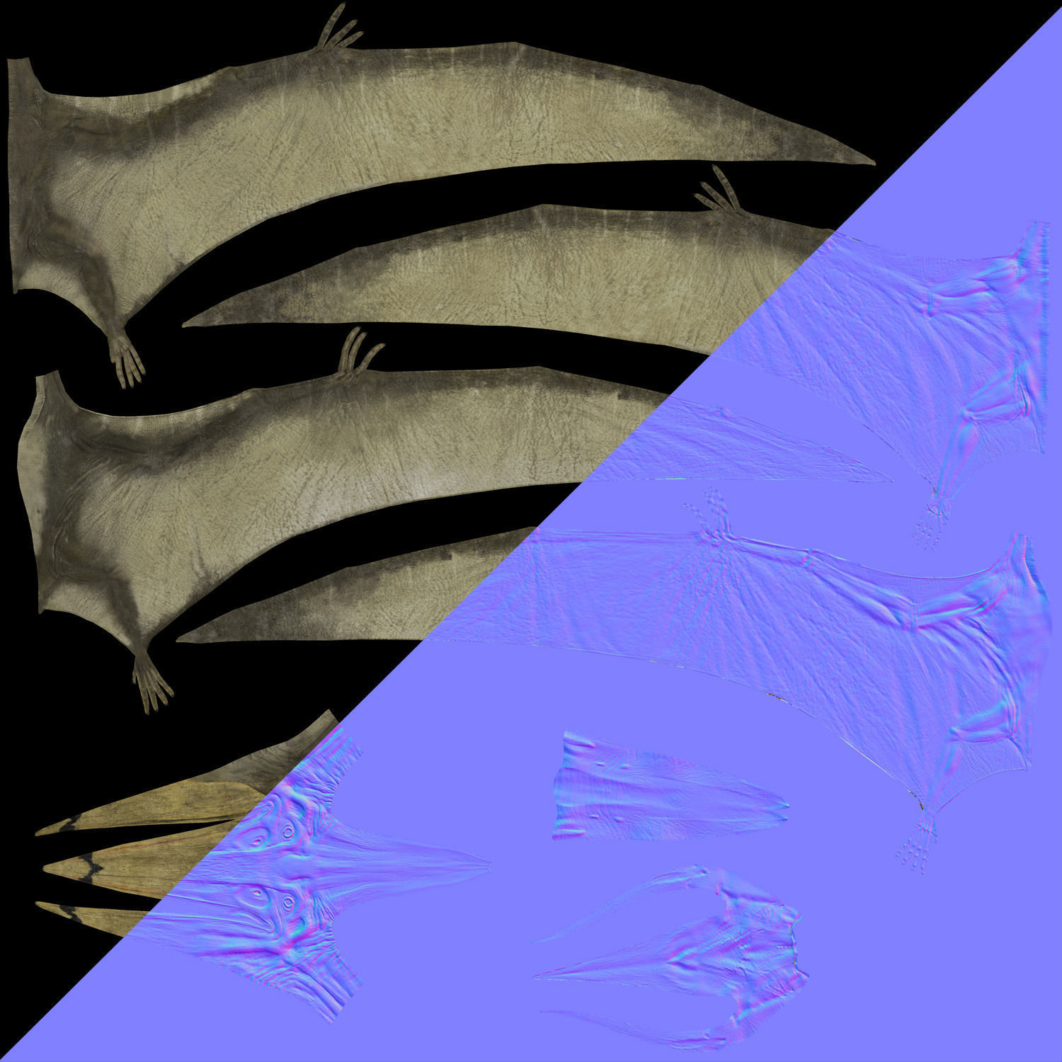 Pterodon dinosaur flying in sky 3D model_14