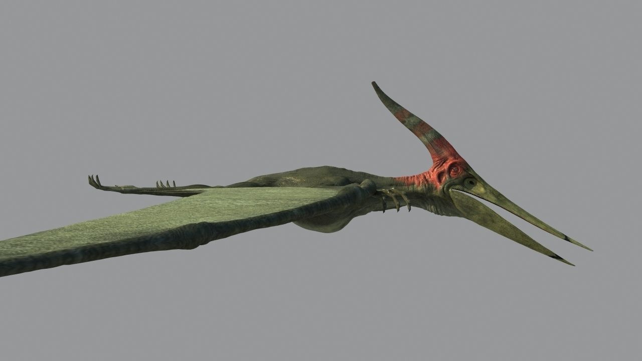 Pterodon dinosaur flying in sky 3D model_3