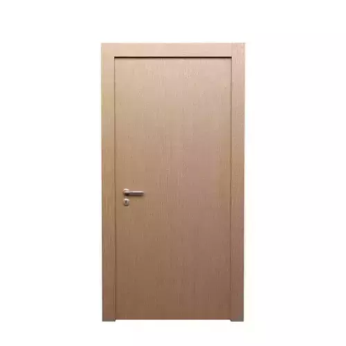 Modern Wooden Door
