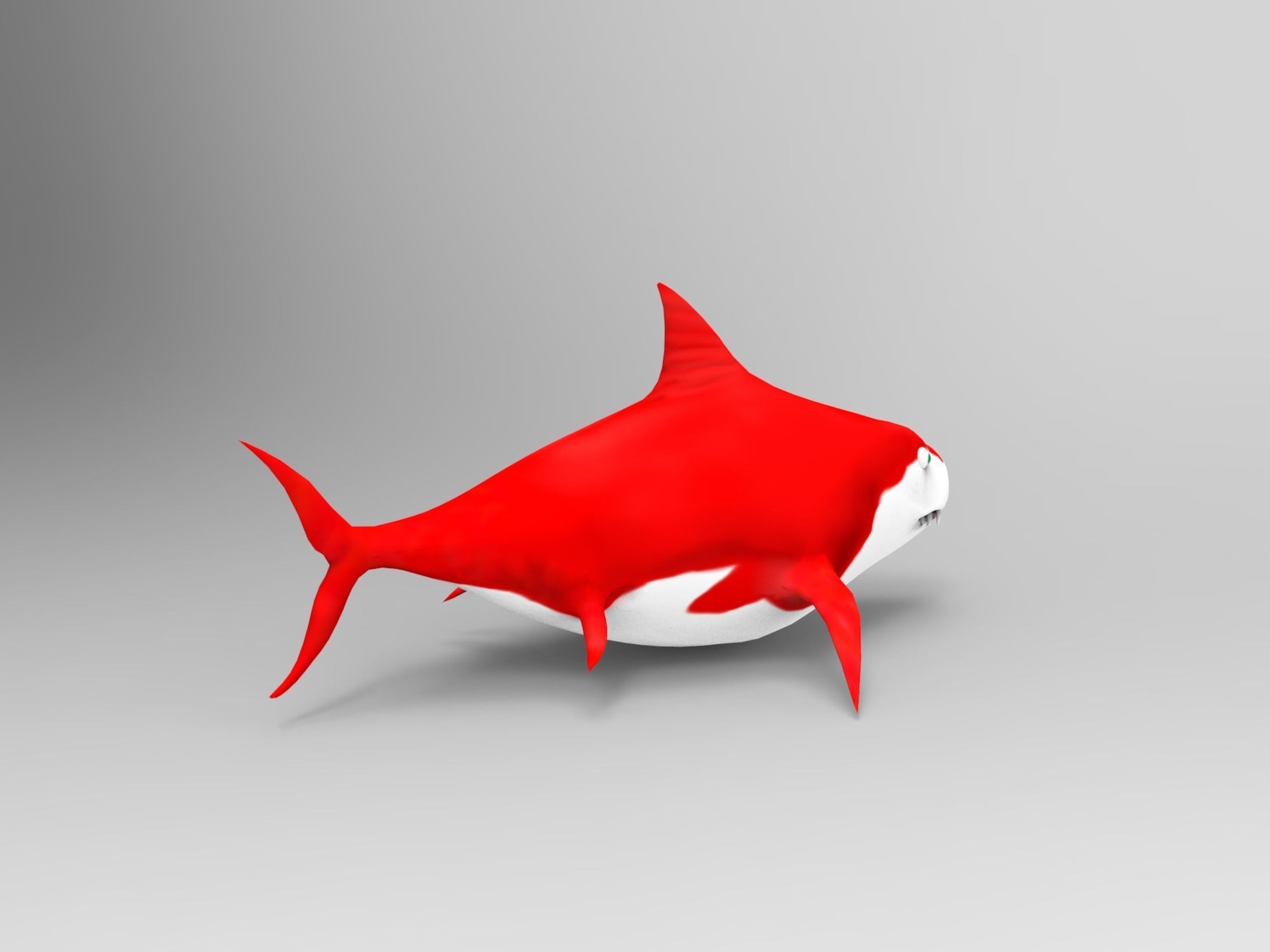 Shark Pack Low-poly 3D model_14
