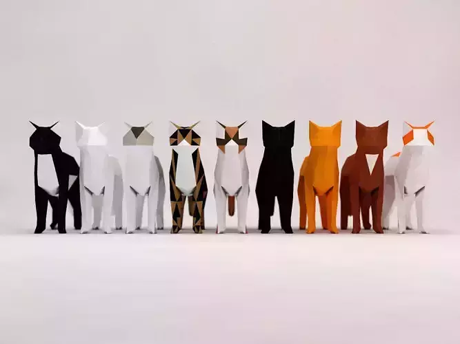 ORIGAMI---Cat Setup