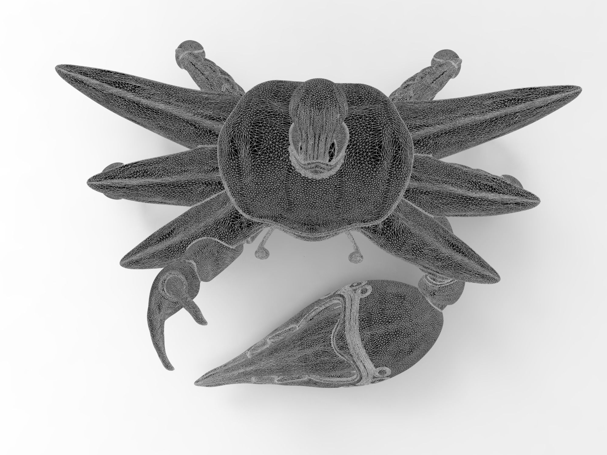 Fantasy Crab  3D print model_11